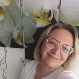 ���� ������, ������������, 50 ��� - ��������� 28 ����� 2026