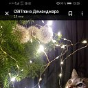 ���� ����, ������, 61 ��� - ��������� 7 ��� 2025 � ������ ���� ����������