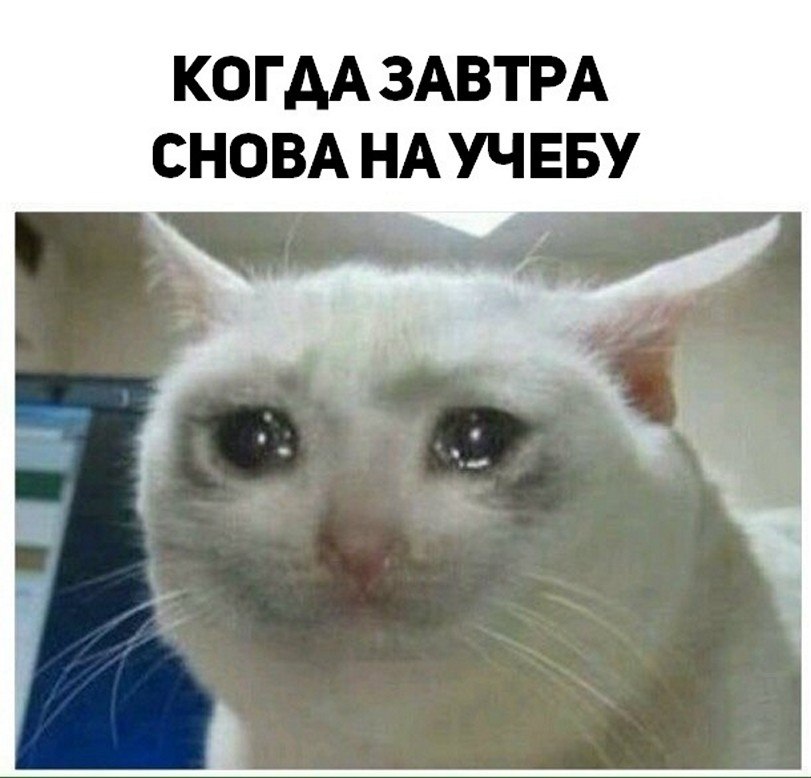 ☆   ☆ - 26  2025  16:39