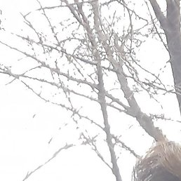 ������, ������, 55 ���