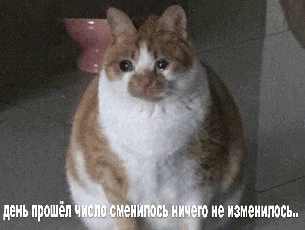    - 25  2024  11:25