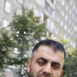 , 32, 