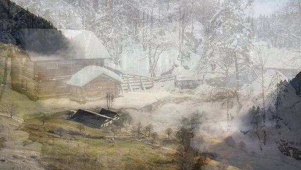 �����������