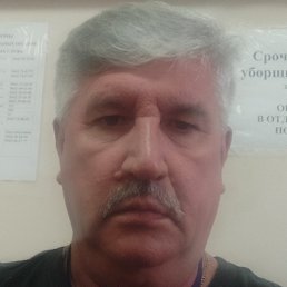 ������, ���������, 65 ���