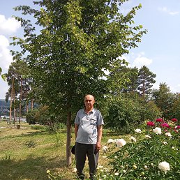 , 64, 