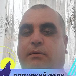 ����, �����-���������, 41 ���