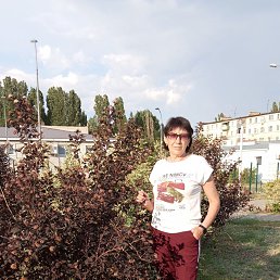 , 60, 