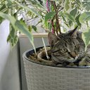 ���� �����, ������ - ��������� 23 ������� 2026 � ������ ���� ����������