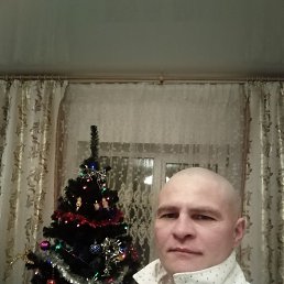 ������, 41 ���, ������