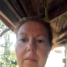 ���� ����� ������������., �����, 54 ���� - ��������� 4 ������ 2026