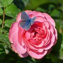 ���� ���������, ������, 31 ��� - ��������� 24 ������ 2026