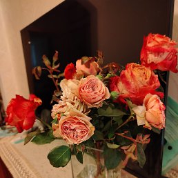 ���� �������, ��������, 68 ��� - ��������� 17 ������ 2026