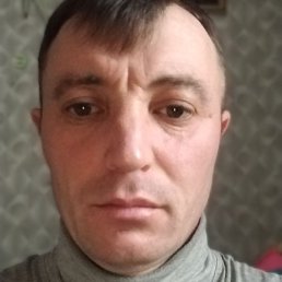 ���� �������, ���������, 37 ���