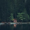 ���� �����, ������, 39 ��� - ��������� 11 ������� 2024 � ������ ���� ����������