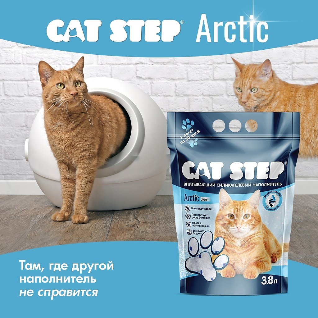     CAT STEP Arctic?   : https://fotostrana.ru/away?to=/sl/Zek - 4