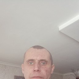 , 42, 