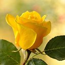 ���� �����, ������ - ��������� 18 �������� 2025 � ������ ������ ��������