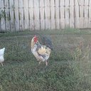 ���� ���������, ���, 32 ���� - ��������� 24 ������� 2025 � ������ ���� ����������