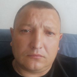 �������, ���������, 40 ���