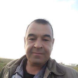 , 54, 