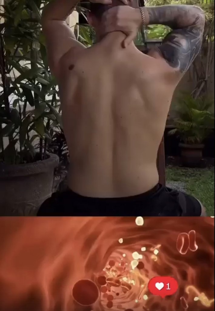      . -      - ...