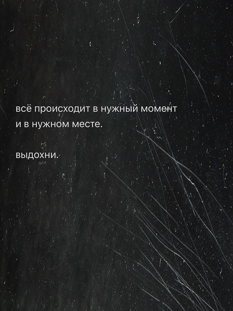 ������ ����� - 24 ������� 2026 � 00:49