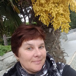 , 53, 