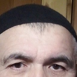 ����, �����������, 54 ����