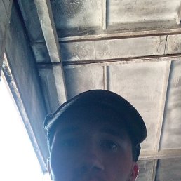 �������, 28 ���, �����������