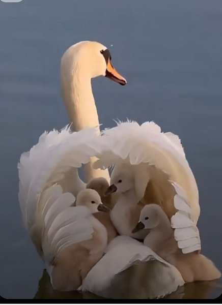 ,       ,  ...  -      . ... - 7