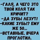 ���� Alex, ������, 62 ���� - ��������� 17 ������� 2026 � ������ ������ ��������