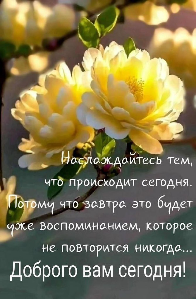   ,    . - 15  2025  13:11 - 2