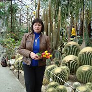 ������, , ������