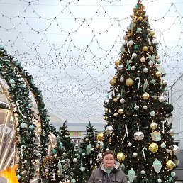 ���� ������, ��������� - ��������� 2 ������ 2026