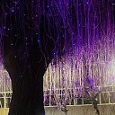 ���� Ekaterina, ����, 45 ��� - ��������� 11 ������ 2026