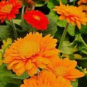 ���� Tatiana, ���������, 64 ���� - ��������� 27 ������� 2023 � ������ ���� ����������