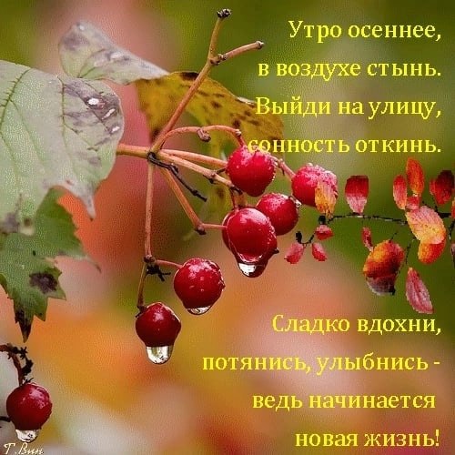   ,    . - 3  2025  23:22