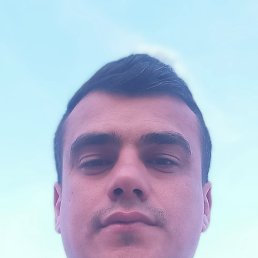 , 29, 