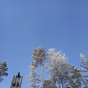  Che,  -  26  2024       