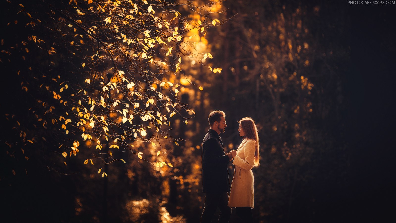 Осенней ночью светлой и тихой я возвращался. Влюбленные осенью. Парочка вечером в парке. Фотосессия пары в парке. Романтическая осень.