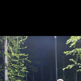 ������� �������, ������, 38 ���