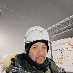 �������, 41 ���, ������