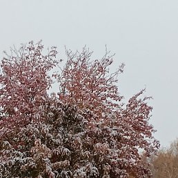 ������, ������, 45 ���