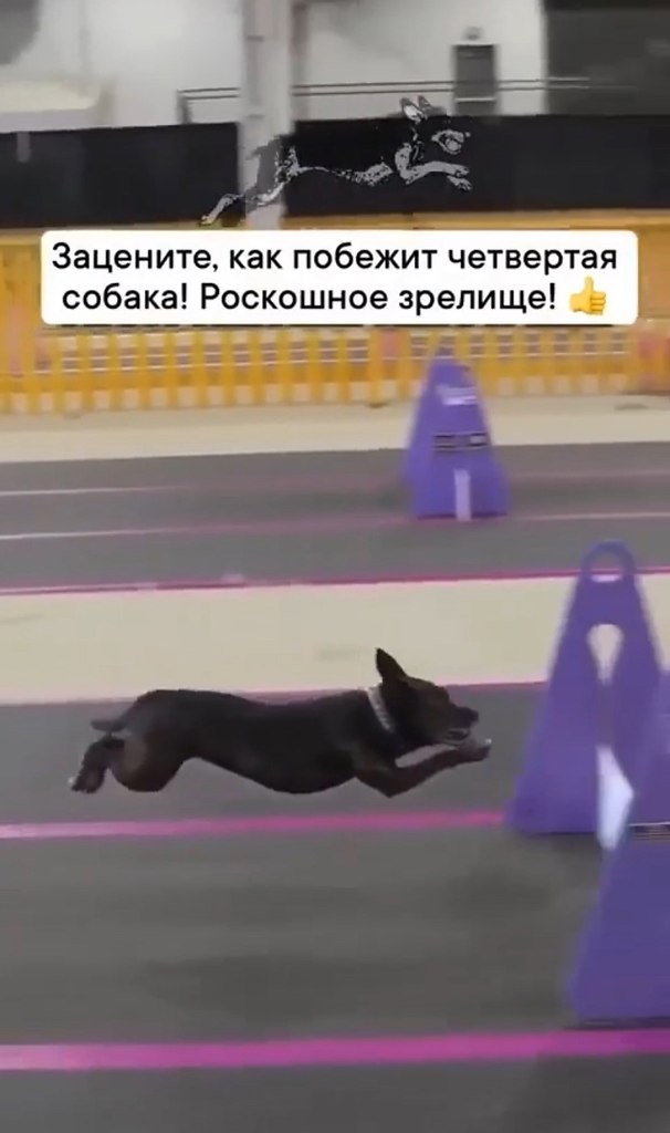  !