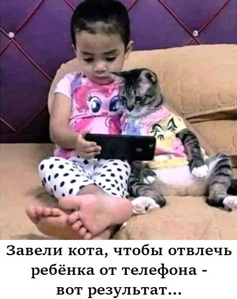 ��� ���� � ����� �� �� - 22 ������ 2026 � 19:12
