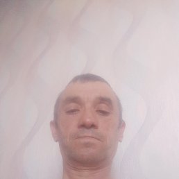 ���� ������, �����, 48 ��� - ��������� 7 ������ 2026