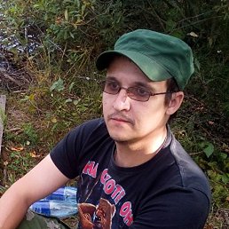 �������, ������, 37 ���