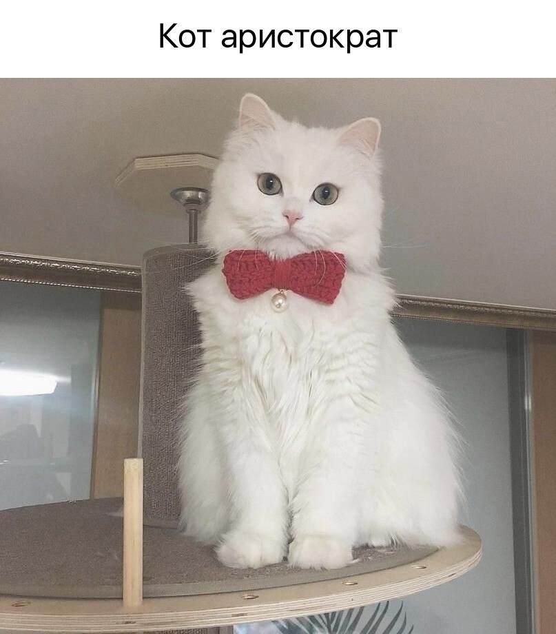    - 28  2024  21:20