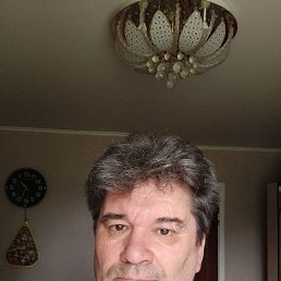 , 54, 