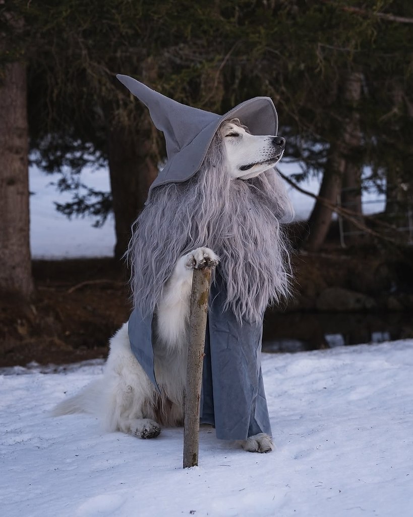 ��� ������ ����� ������ ������� � ����!